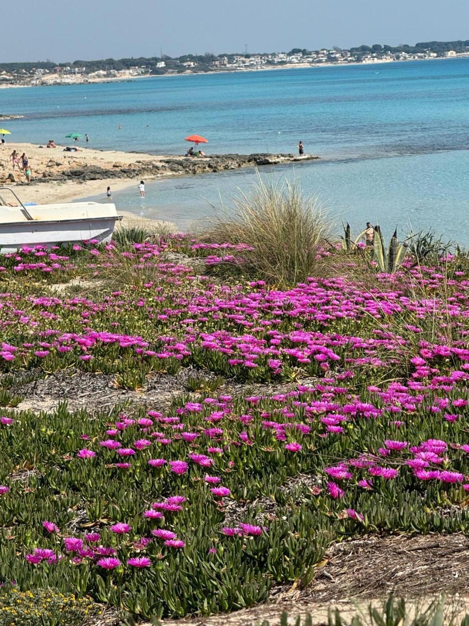 Villa Torretta - Mare Salento Marina di Lizzano Exterior foto